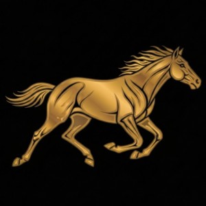 cropped-favicon_競馬セブン七騎の会ではじめての競馬.jpg